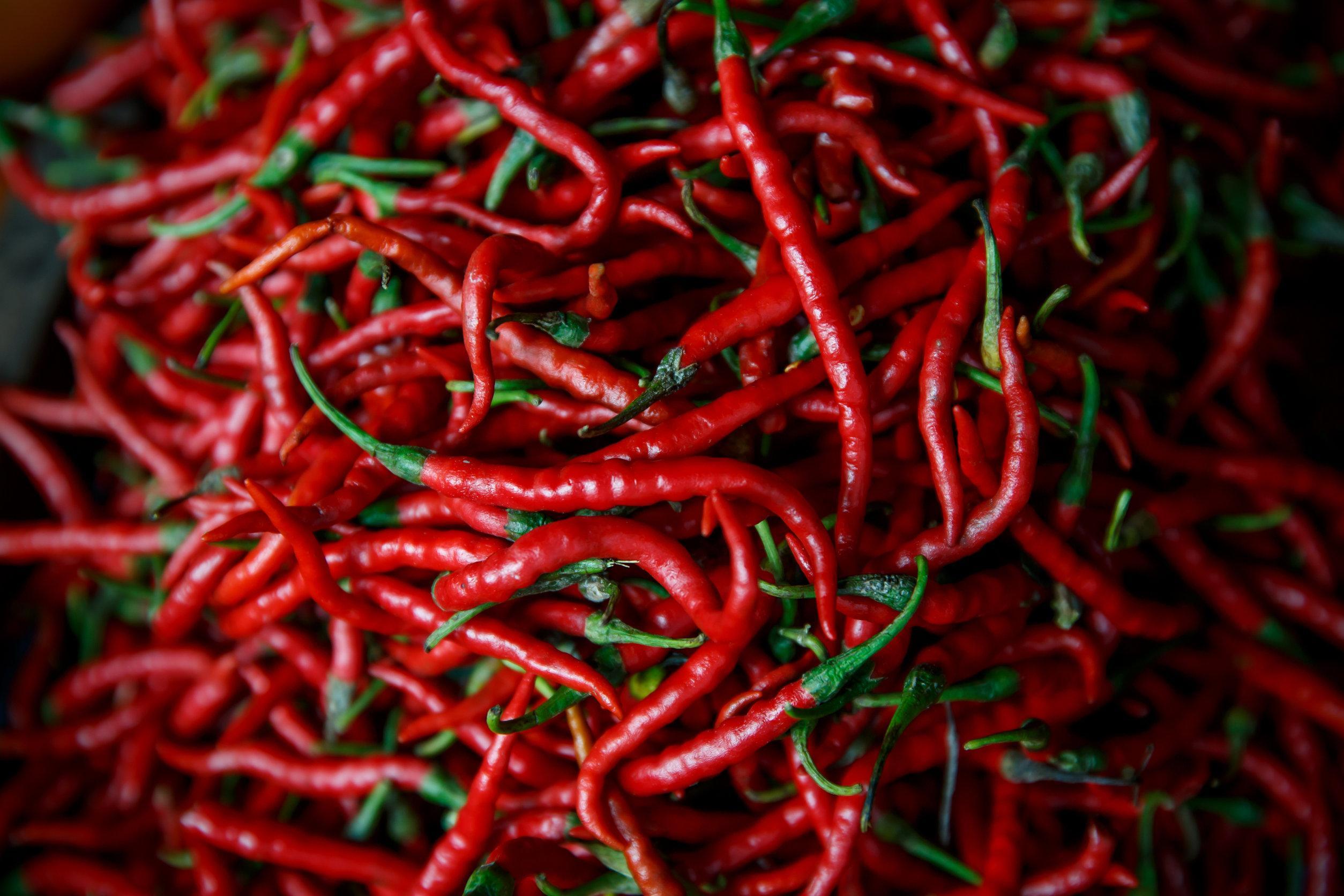Daftar Habanero: Jenis-Jenis Cabai Habanero yang Harus Anda Ketahui